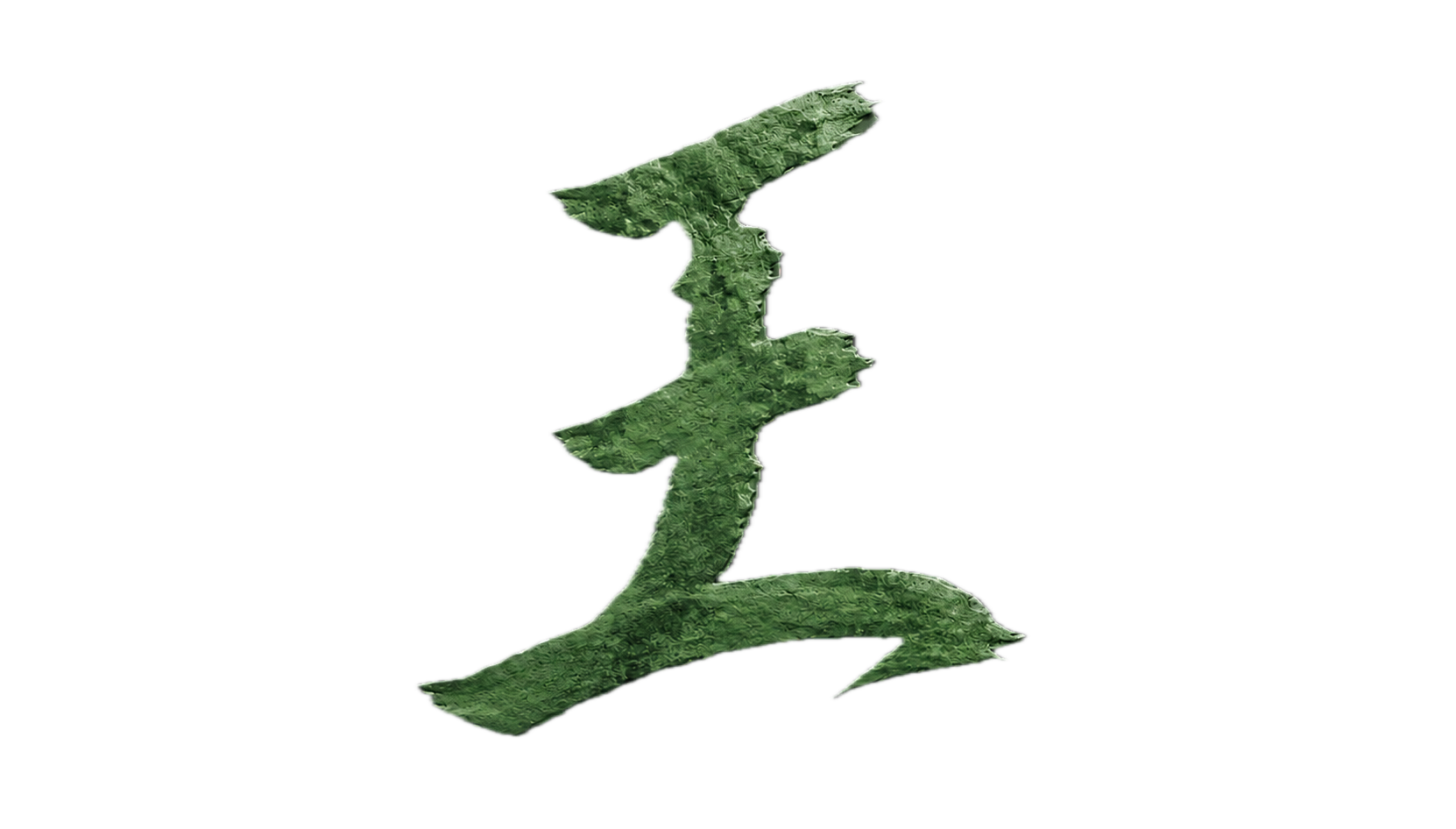 WANG CORP.